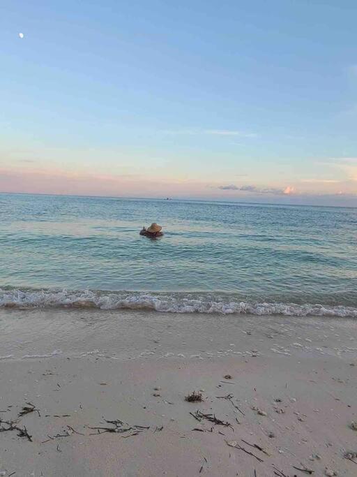 Your Happy Place On The Beach! Key Colony Beach Extérieur photo